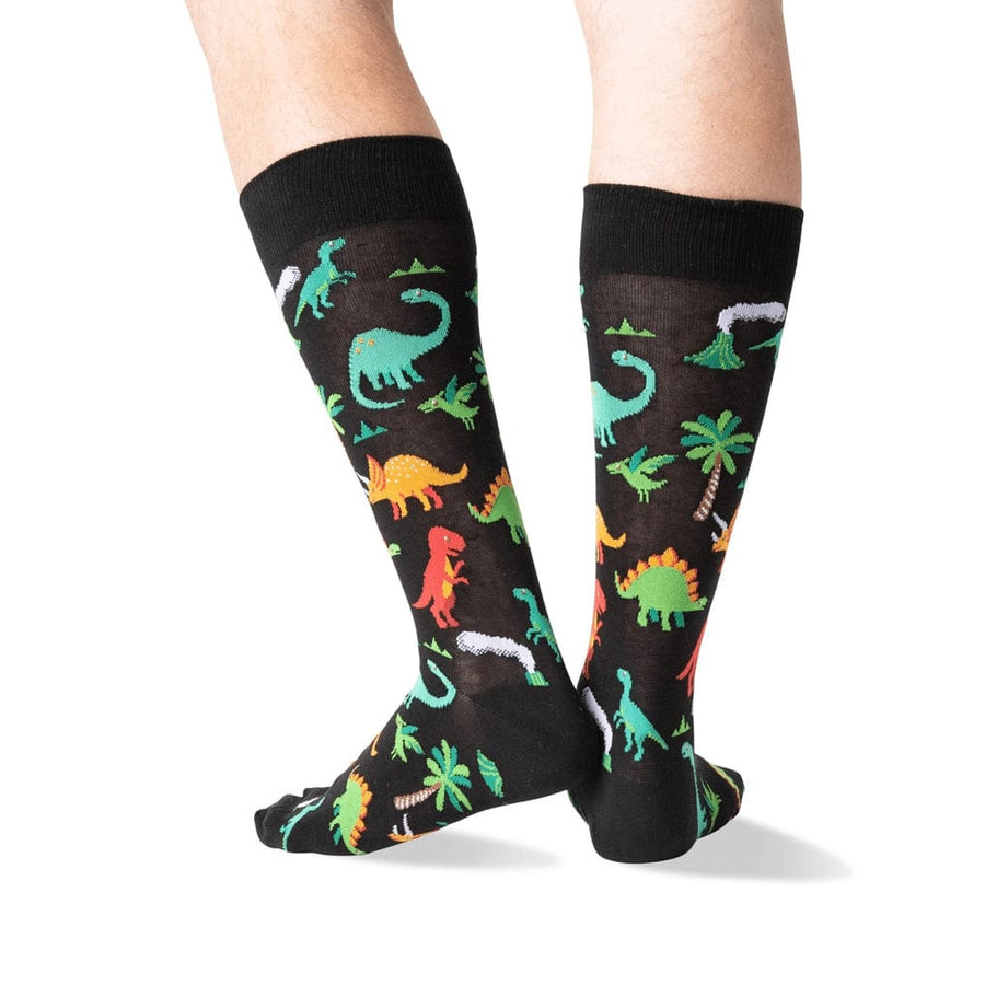 Dinosaur Socks for Him