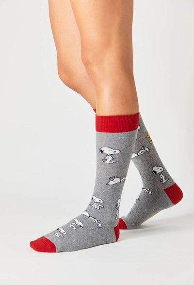 Twin Roads - Snoopy Grey Socks for Him