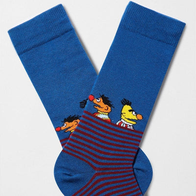Sesame Street Striped Bert & Ernie Sock for Him