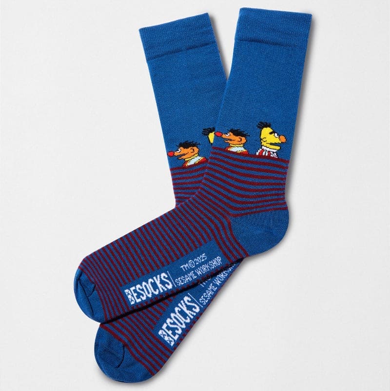 Sesame Street Striped Bert & Ernie Sock for Him