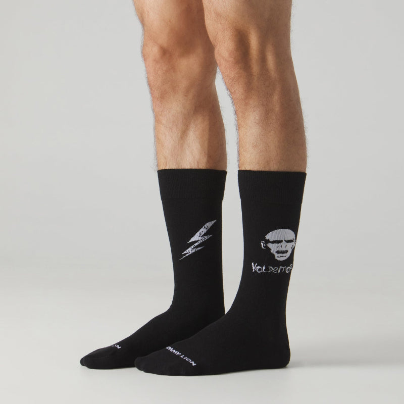 Twin Roads - Harry Potter Voldermort