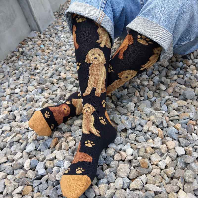 Twin Roads - Golden Doodle Socks for Him