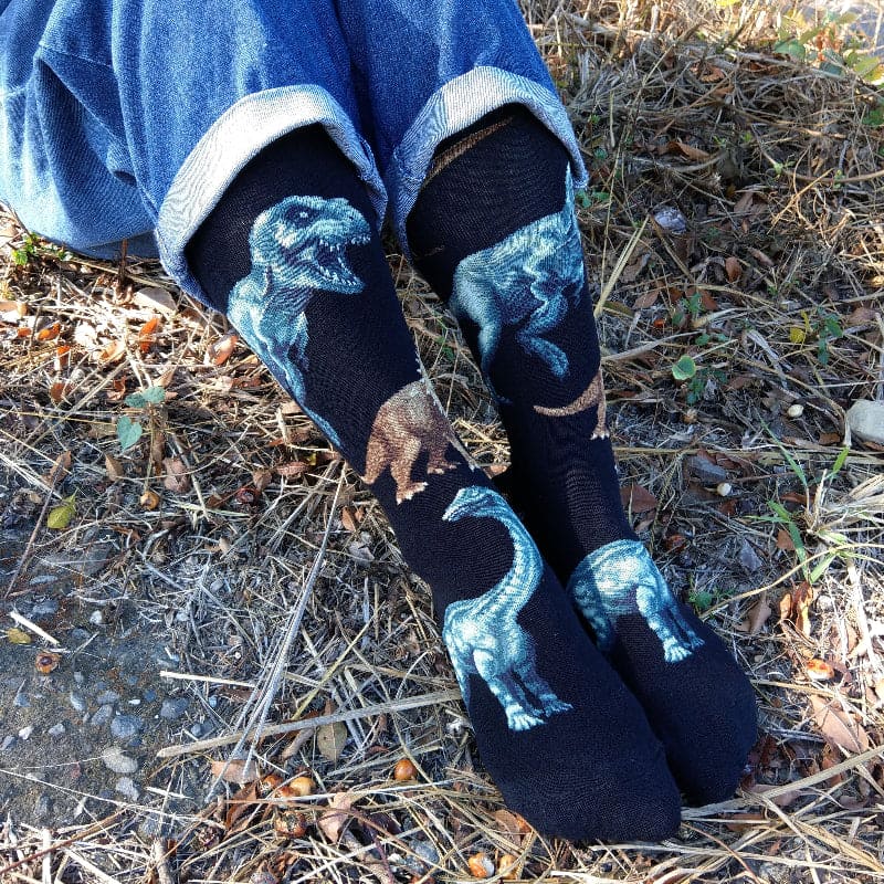 Dinosaur Socks for Him