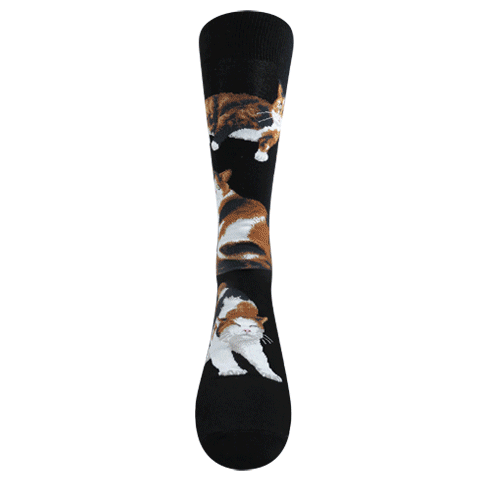 Chaussettes de chat calico pour lui