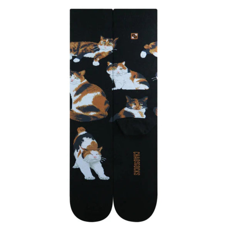 calico cat