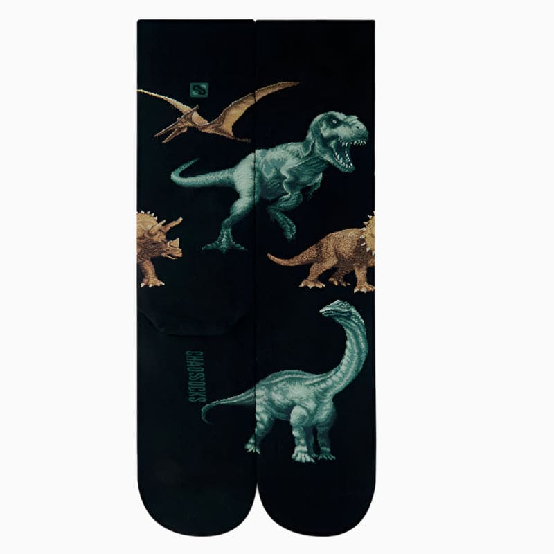 Dinosaur Socks for Him