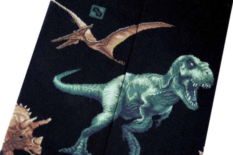Dinosaur Socks for Him