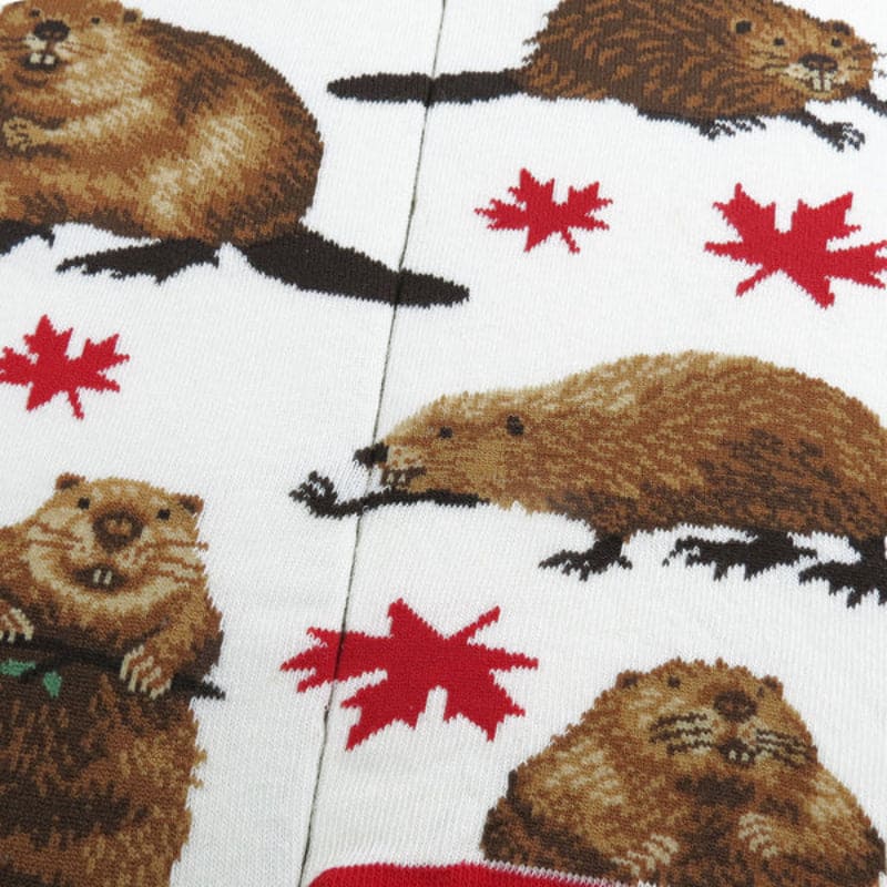 Canadian Beaver