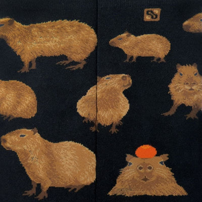 Capybara Socks for Him
