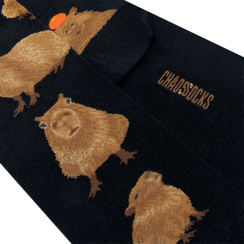 Capybara Socks for Him