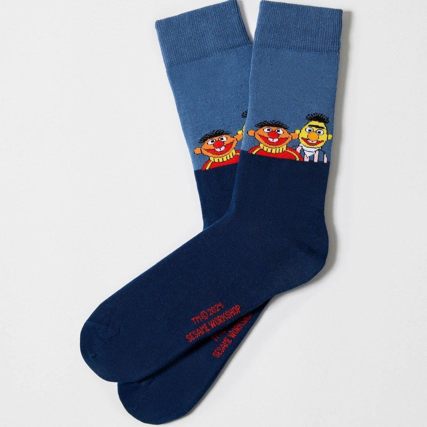 Sesame Street Bert & Ernie