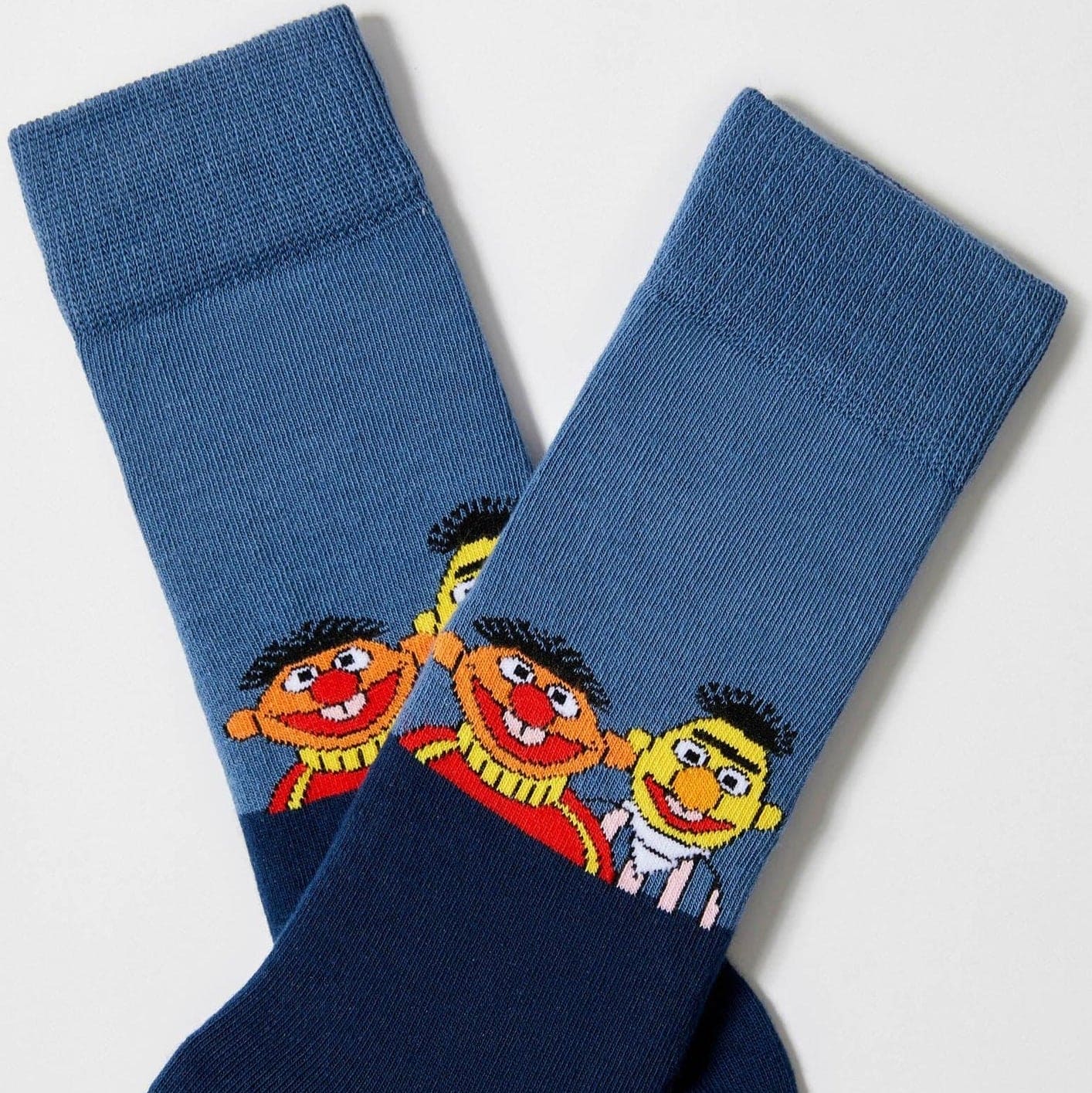 Twin Roads - Sesame Street Bert & Ernie