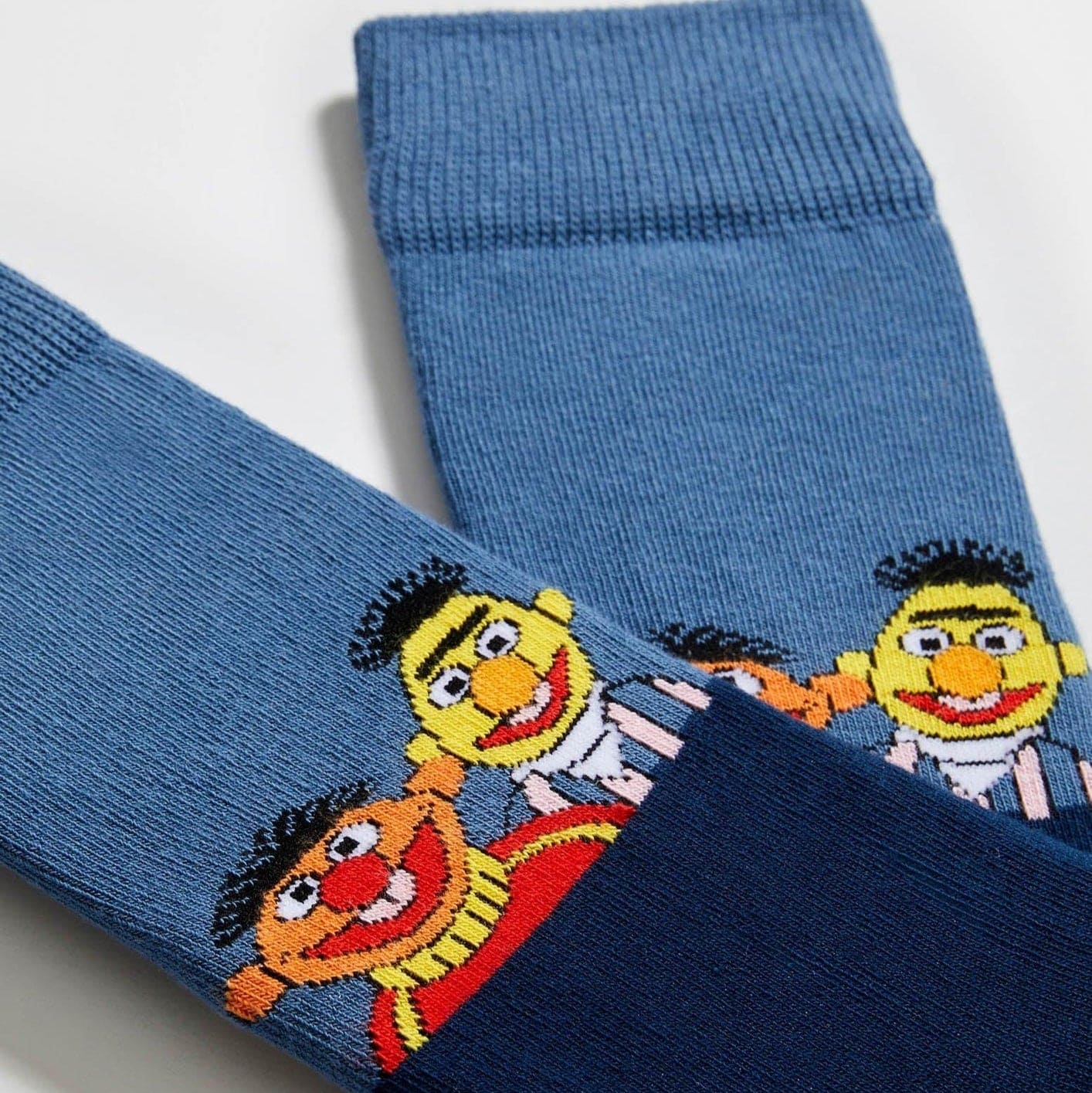 Twin Roads - Sesame Street Bert & Ernie