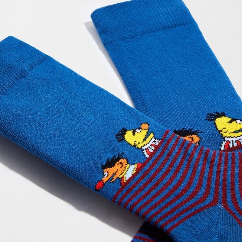 Sesame Street Striped Bert & Ernie Sock for Him