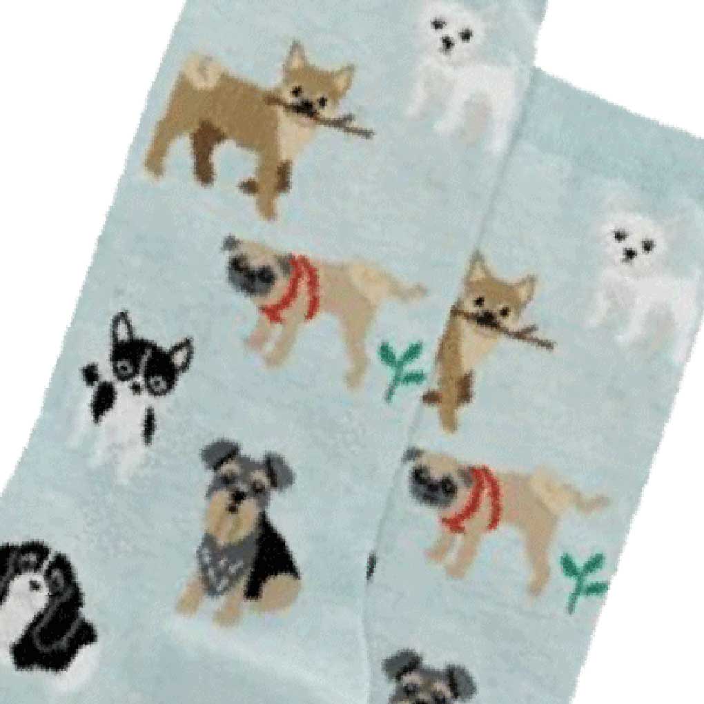 Twin Roads - Dogs of the World