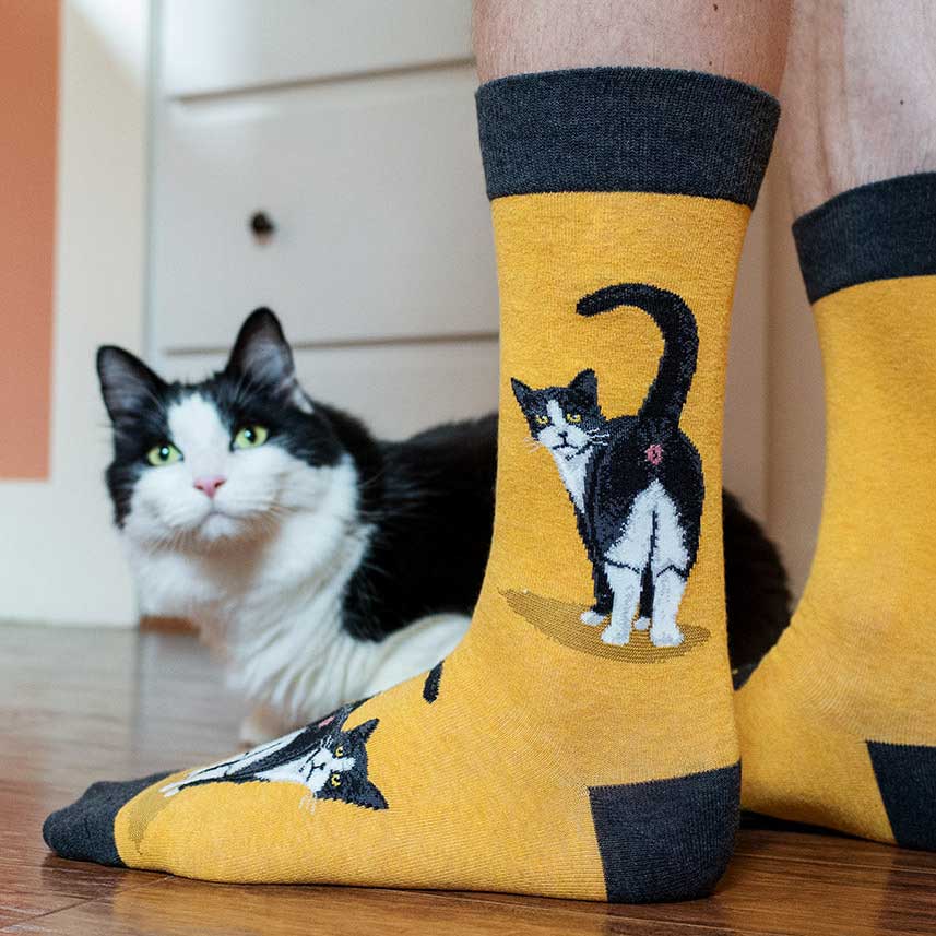Tuxedo Cat Butt Socks for Him